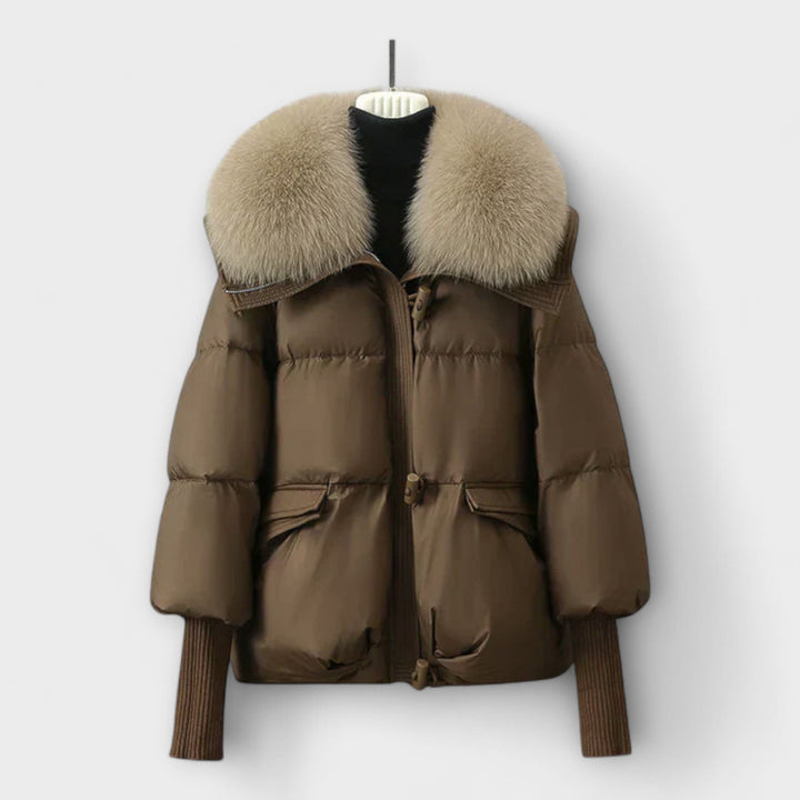 Elegant Coat with Fur